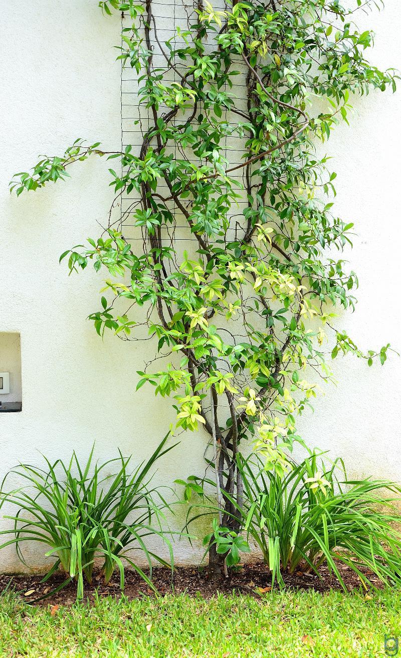 B&B Mondello Resort Bagian luar foto
