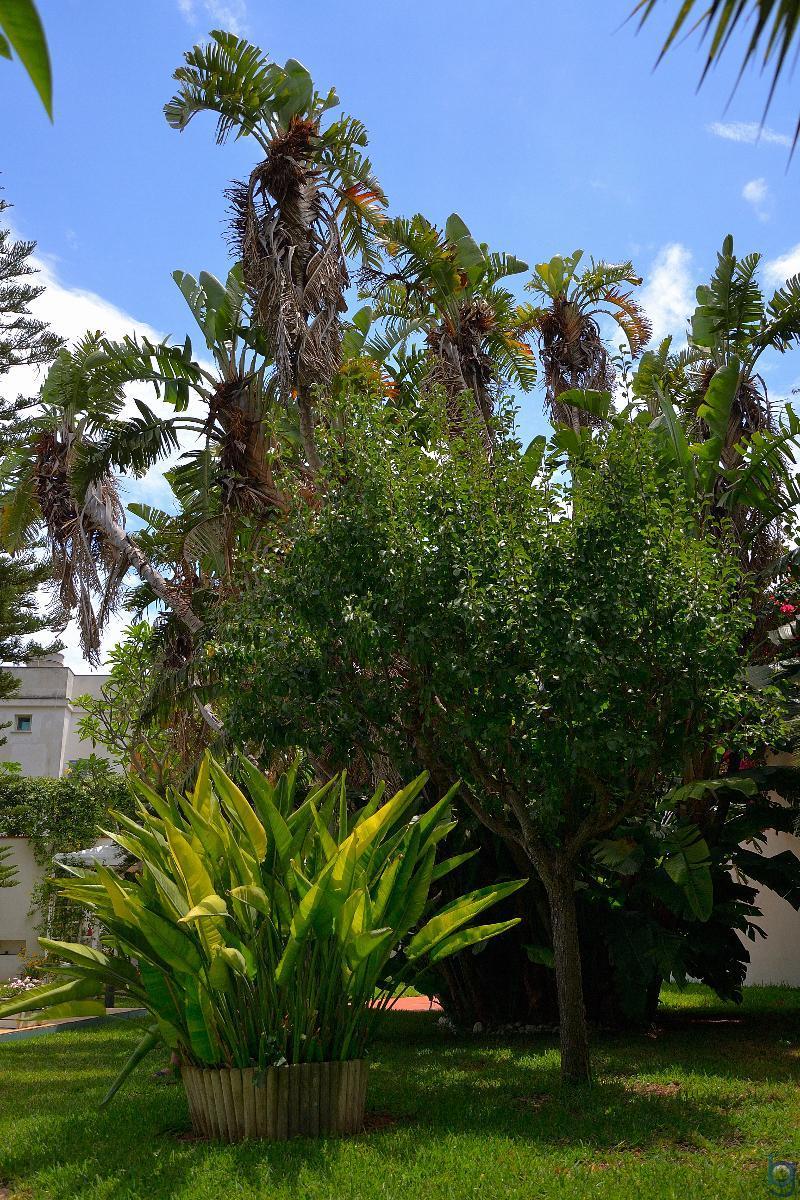 B&B Mondello Resort Bagian luar foto