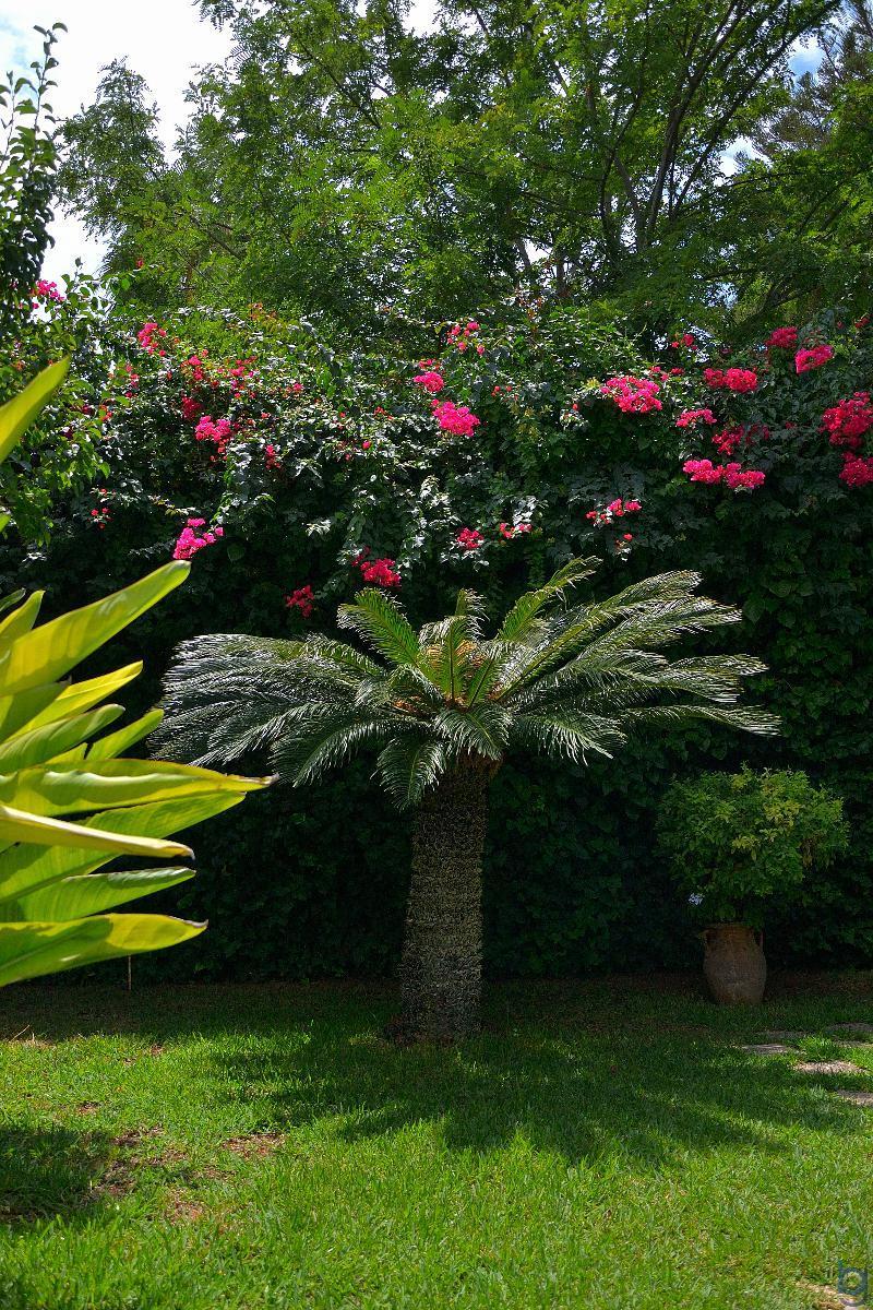 B&B Mondello Resort Bagian luar foto