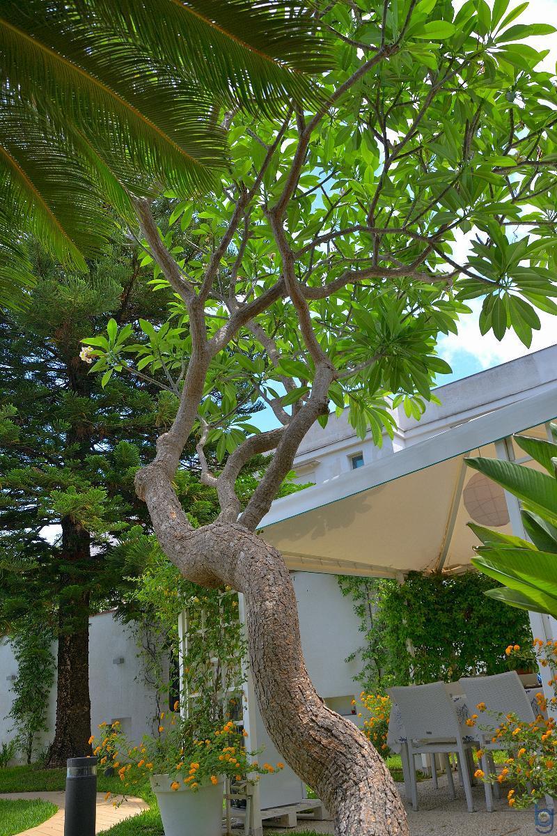 B&B Mondello Resort Bagian luar foto